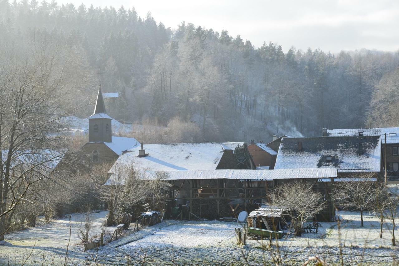 Gite La Truite A Mouzaive Vresse-sur-Semois Zewnętrze zdjęcie